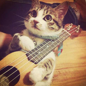 妹子做爱动态图片
